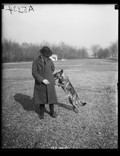 German police dog used to trace bootleggers