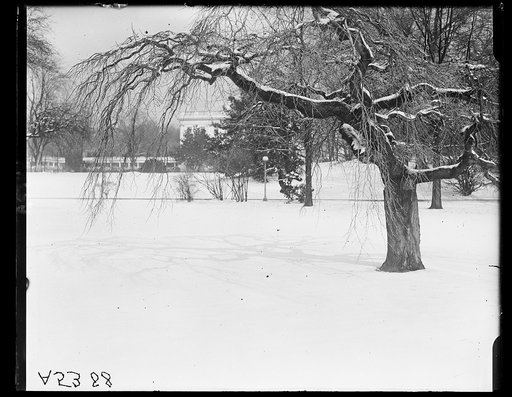Snow scenes, White House