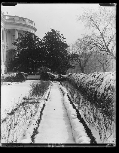 Snow scenes, White House