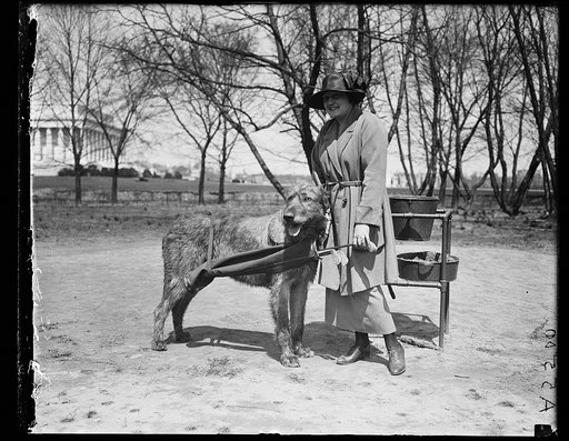 Woman with dog; Lincoln memorial in background