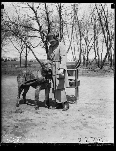 Woman with dog; Lincoln memorial in background