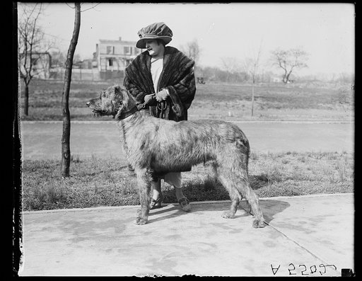 Woman with dog