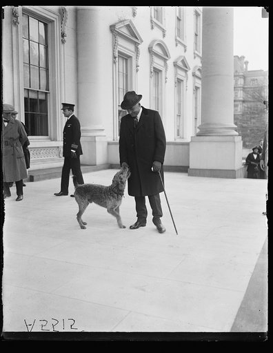 President Harding with Laddie Boy at White House, Washington, D.C.