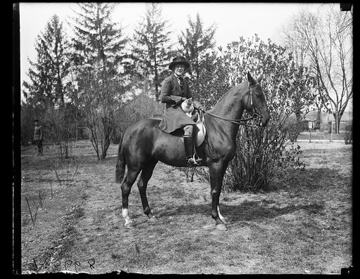 Woman and cat on horse