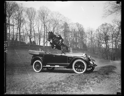 "Tipperary" the Canadian thoroughbred owned by Jack Prestage of Washington