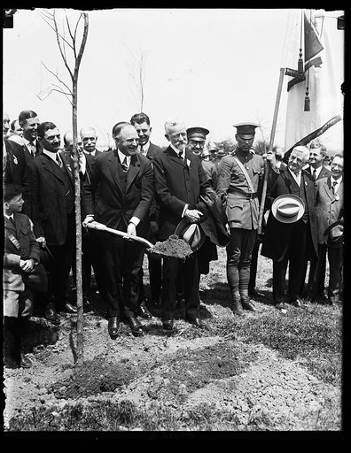 Mass. Society group planting tree [near Lincoln Memorial, Washington, D.C.