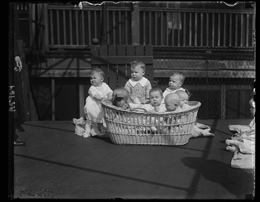 Babies in a basket