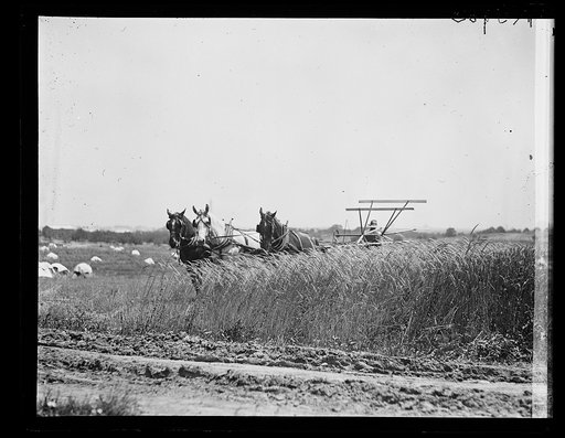 Farm near Washington, D.C.