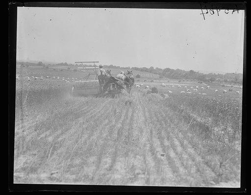 Farm near Washington, D.C.