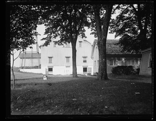 Wilson estate