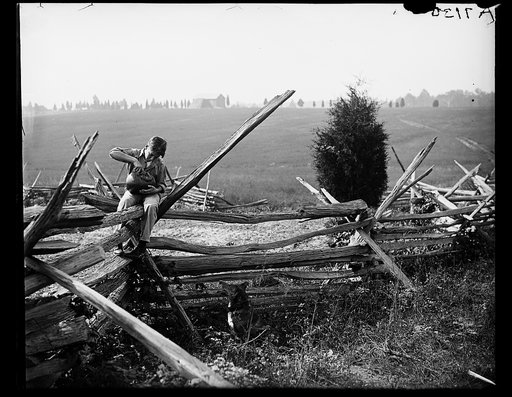 Boy seated on fence with field in background