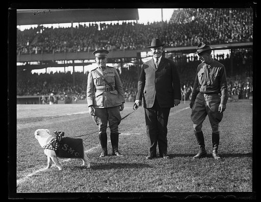 Edwin Denby with bulldog "SMC" at stadium