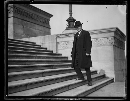 Man at U.S. Capitol, Washington, D.C.