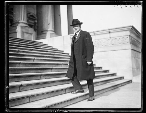 Man at U.S. Capitol, Washington, D.C.