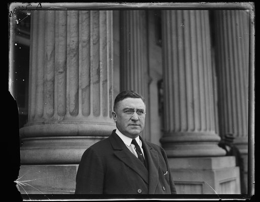 Man at U.S. Capitol, Washington, D.C.