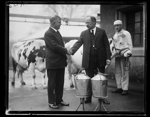Henry C. Wallace and Magnus Johnson with cows