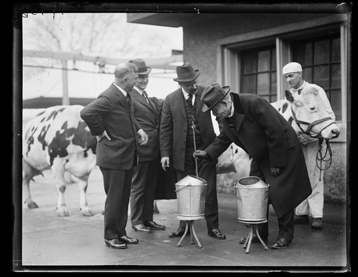 Henry C. Wallace, left, and Magnus Johnson, center; with group and cows