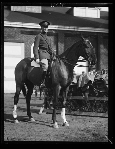 Fort Myer horses