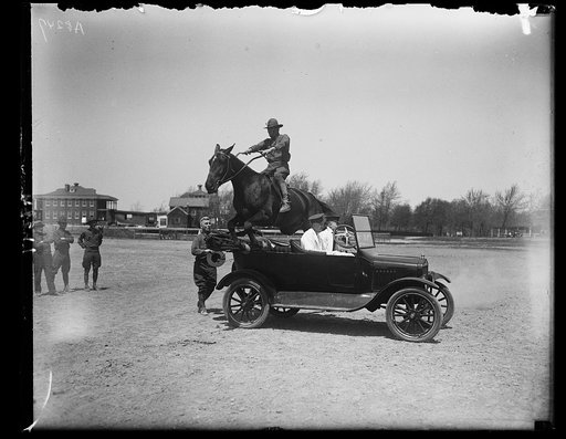 Man on horse jumping over automobile