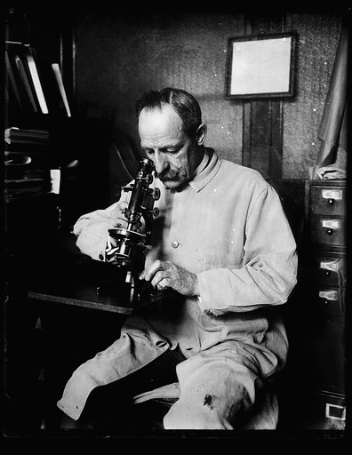 Dr. N.A. Cobb, technologist of the Dept. of Agric., who has discovered that by the use of a piece of glass he can invoke the aid of the sun in making microscopic studies of minute objects. Until this glass was used, the sun blurred instead of clarified the object