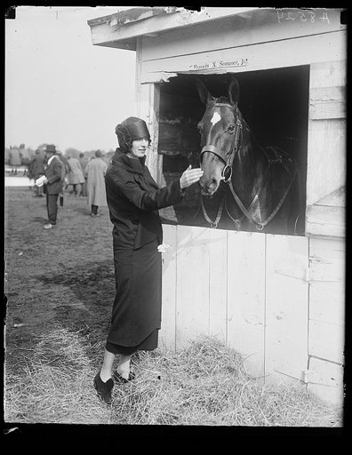 Horse show