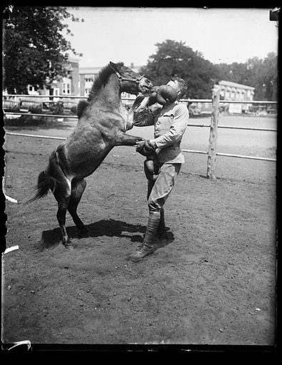 Tony, a small Shetland pony, better known as the battler, is the light weight champion before the exclusive remount stable in Wash. Photo. shows Tony giving a few lessons in the art of fisticuffs to Albert Walker of the Veterinary Dept. U.S. Quartermaster Corps. The pony is owned by Edna Van Duyne, 