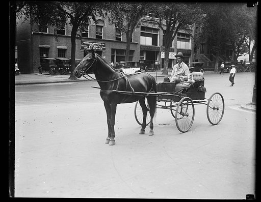 Man with horse and cart, and dog