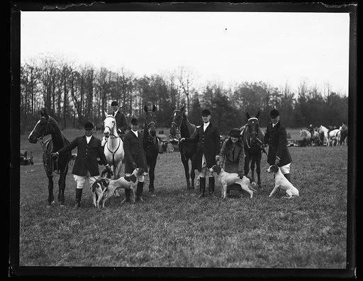 Horses; fox hunt