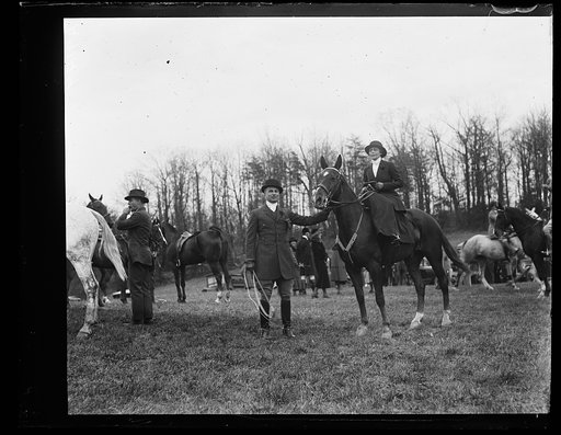 Horses; fox hunt