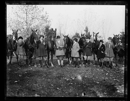 Horses