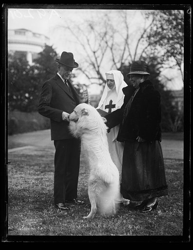 Calvin Coolidge with dog and Christmas seals(?) people and dog at White House, Washington, D.C.