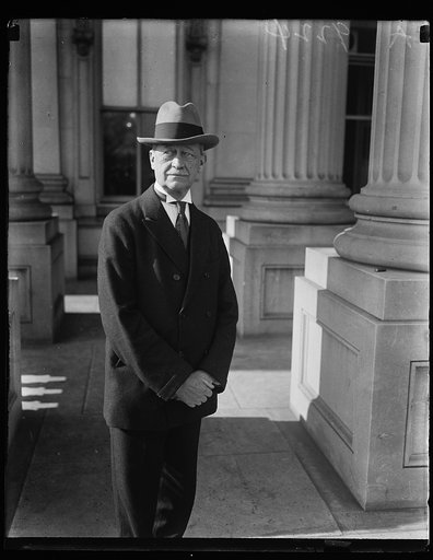 Man at U.S. Capitol, Washington, D.C.