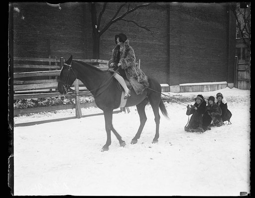 Horse pulling sled