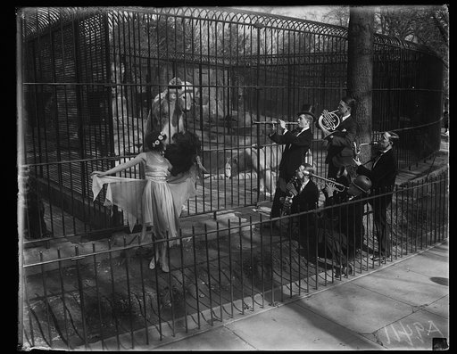 "Beats the Arctic ice and snow" so said Mr. Polar Bear at the Washington Zoo, when the "Better Ole" club orchestra, assisted by Dolly Daye, dancer, tried their wildest notes and dances in front of Bruno's cage. True to form, Mrs. Bruno developed a streak of jealousy and refused to watch the performa