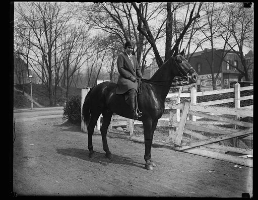 Horse riding