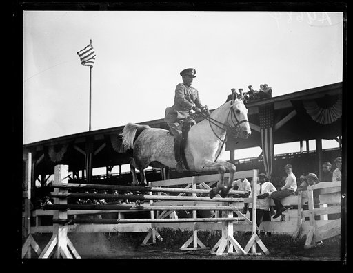 Horse show