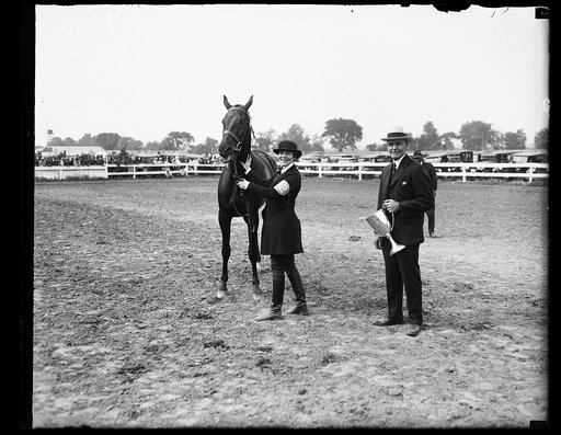 Horse show