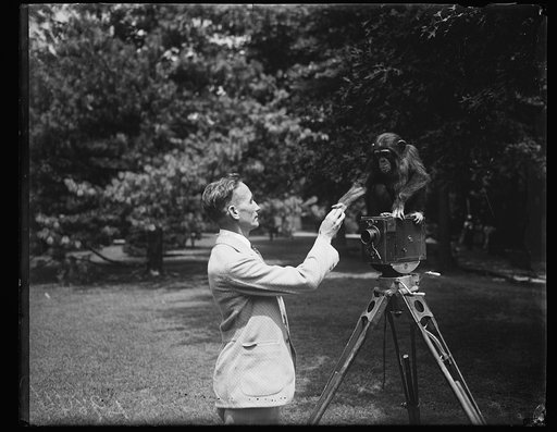 Man with chimpanzee on camera