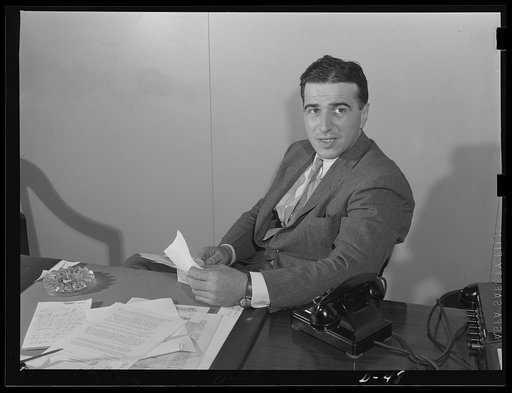 Robert Ware Straus, Special Assistant to the Director, Information Division