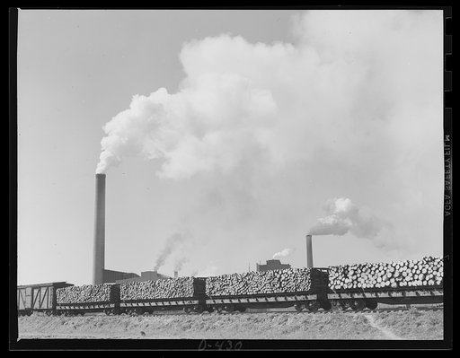 Paper Mill outside Charleston. Southern pine logs are brought in by rail where they are converted into craft paper