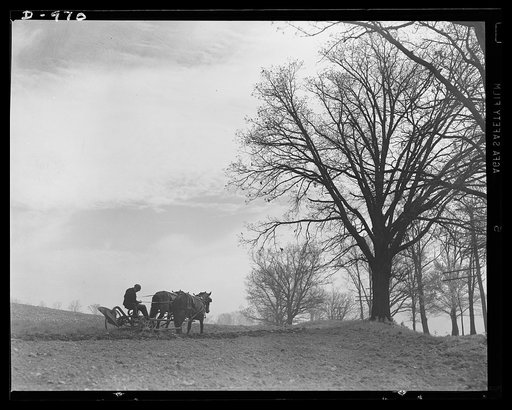 Productive America. Ploughman in the spring--a scene reminiscent of a Corot painting. This truck farm near Cleveland, Ohio is typical of many that supply food to neighboring cities