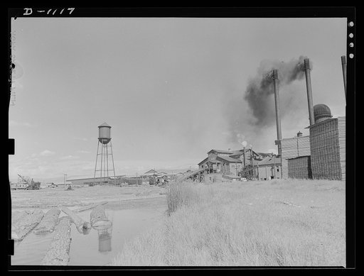 Lumber manufacture. Mills of the Boise Lumber Company, Boise, Idaho. Ninety-five percent of the production is ponderosa pine, the other five percent consists of fir and larch. This plant is building up a stockpile (June 1941) to supply quantities of ammunitions cases. Lumber for army barracks and ca
