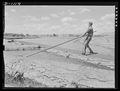 Lumber manufacture. Slip man pushing timber logs into the bull chain conveyor with the aid of a pike pole. This conveyor will haul the logs to the saws where they will be cut into lumber. Boise Payette Lumber Company, Boise, Idaho