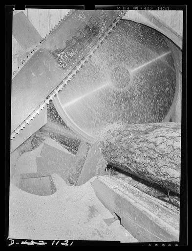 Lumber manufacture. Boise Payette Lumber Company, Boise, Idaho. As the rough logs enter the sawmill from the bull chain conveyor they are first sawed into the proper length on this circular power saw. This sawmill at Emmet, Idaho is producing Ponderosa pine lumber for many needs of national defense