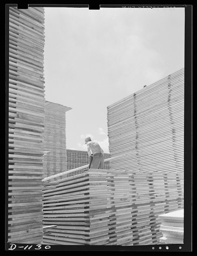 Lumber manufacture. Building stockpiles for war contracts. Ponderosa pine boards being stacked at a western sawmill. Efforts to insure a steady monthly output of ammunition cases. Lumber is also supplied from these mills for the construction of barracks and cantonments