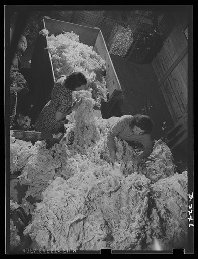 Rags. Collection and processing. A "team" of two women in a large  Eastern rag processing plant going through a bale of cotton waste in order to eliminate pieces of foreign material. Shapiro Company, Baltimore, Maryland