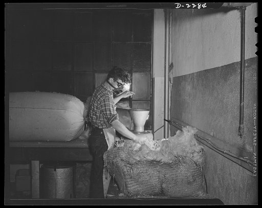 Bantam, Connecticut. A bale of kapok a week is the normal consumption of the Warren McArthur upholstery shop. Here Harold Curran is loosening fresh kapok from the bale. The filler machine into whose funnel he drops the kapok blows it into the bag behind him. Curran, whose main outside interest is am