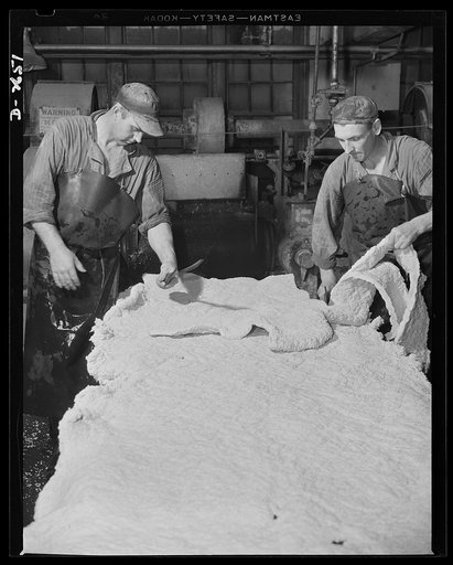 Synthetic rubber (Ameripol). This is the cutting and trimming table, where newly-rolled sheets of synthetic rubber are cut to size for the drying pans. Goodrich