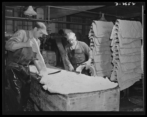Synthetic rubber (Ameripol). This is the cutting and trimming table, where newly-rolled sheets of synthetic rubber are cut to size for the drying pans. Goodrich