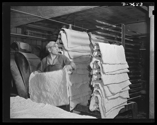 Synthetic rubber (Ameripol). This worker at the Akron, Ohio synthetic rubber plant of the B. F. Goodrich Company is placing trimmed sheets of synthetic rubber on the cooling racks